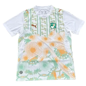 Ivory Coast 2026 World Cup away Jersey